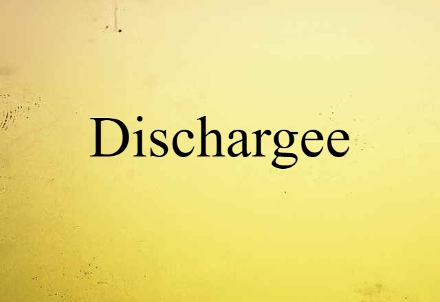 Dischargee (noun) Definition, Meaning & Examples