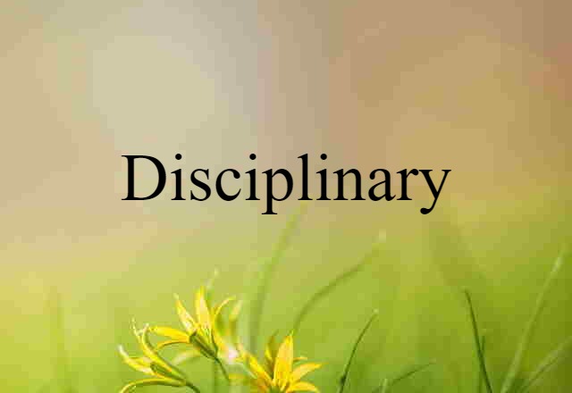 Disciplinary (noun) Definition, Meaning & Examples