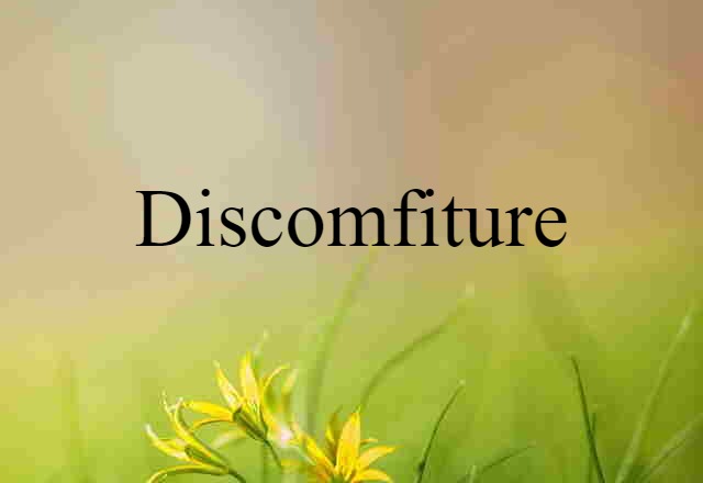 Discomfiture (noun) Definition, Meaning & Examples