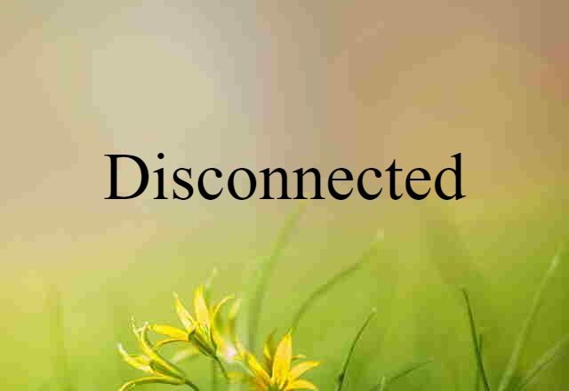 Disconnected (noun) Definition, Meaning & Examples