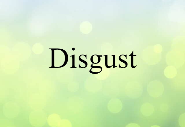 Disgust (noun) Definition, Meaning & Examples