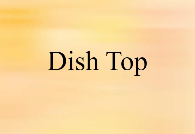 Dish Top (noun) Definition, Meaning & Examples