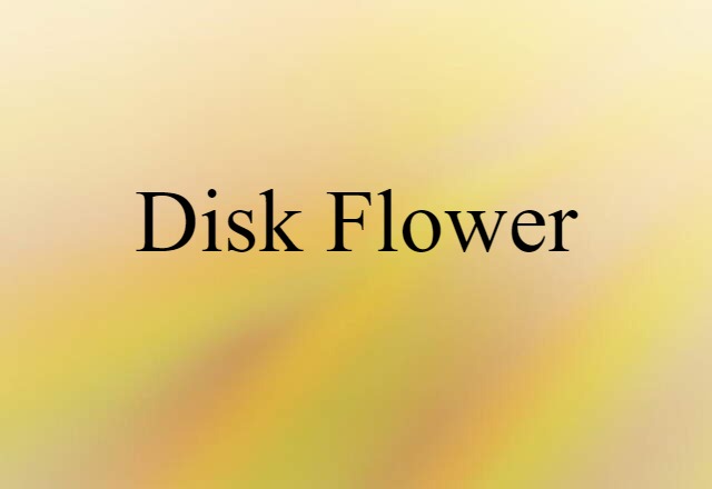 disk flower