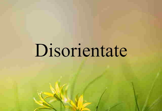 disorientate