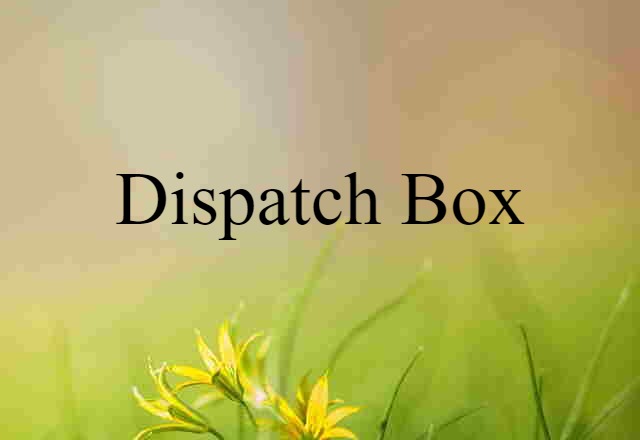 Dispatch Box (noun) Definition, Meaning & Examples