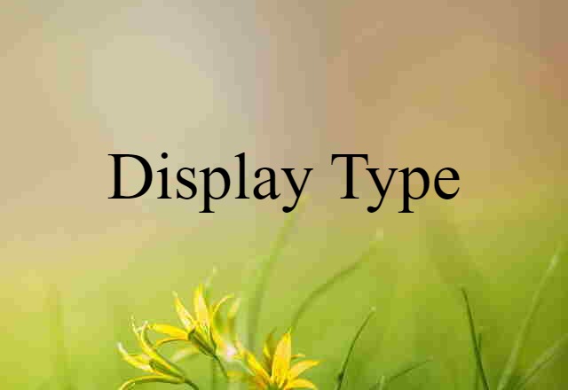 Display Type (noun) Definition, Meaning & Examples