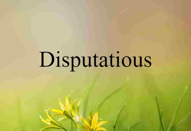 Disputatious (noun) Definition, Meaning & Examples