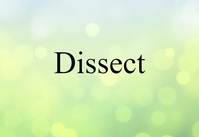 dissect