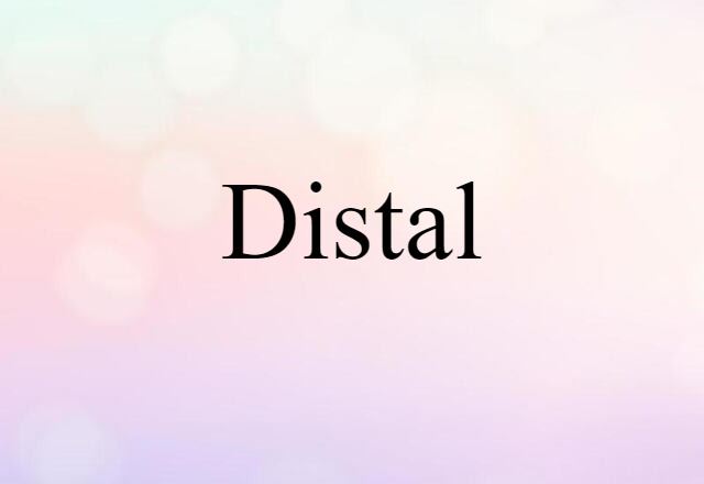 Distal (noun) Definition, Meaning & Examples