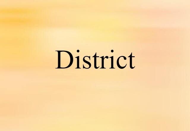 District (noun) Definition, Meaning & Examples