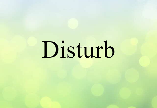 Disturb (noun) Definition, Meaning & Examples