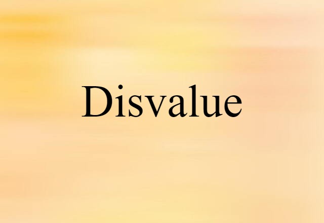 Disvalue (noun) Definition, Meaning & Examples