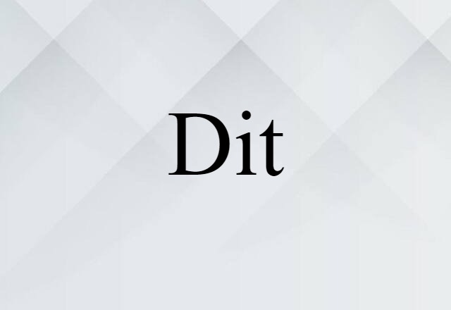 Dit (noun) Definition, Meaning & Examples