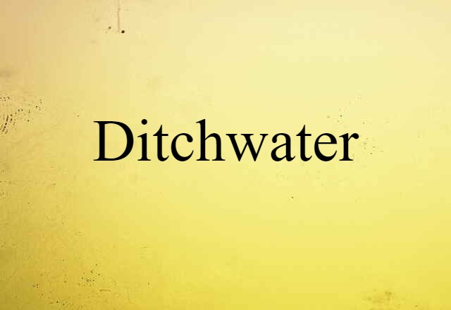 Ditchwater (noun) Definition, Meaning & Examples