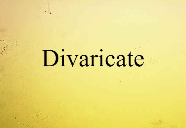 Divaricate (noun) Definition, Meaning & Examples