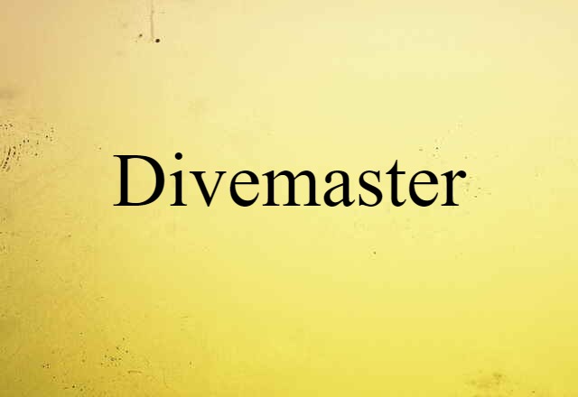 Divemaster (noun) Definition, Meaning & Examples