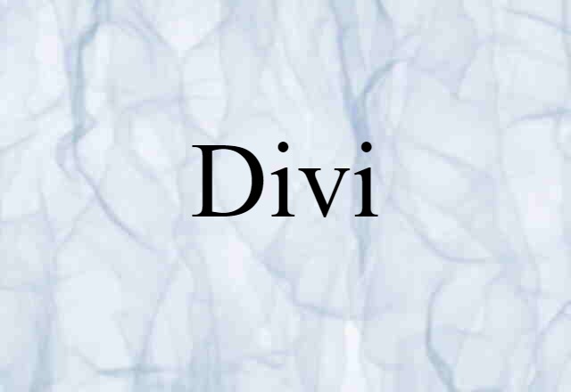 divi