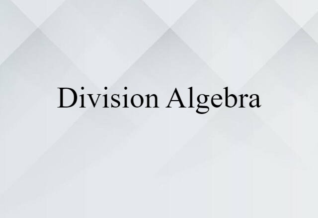 Division Algebra (noun) Definition, Meaning & Examples