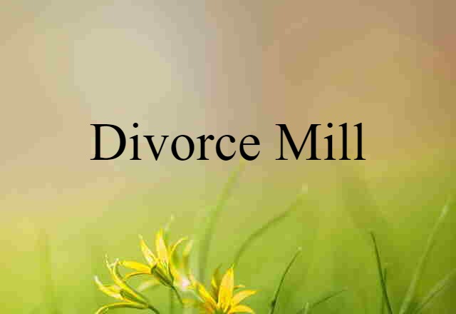 divorce mill