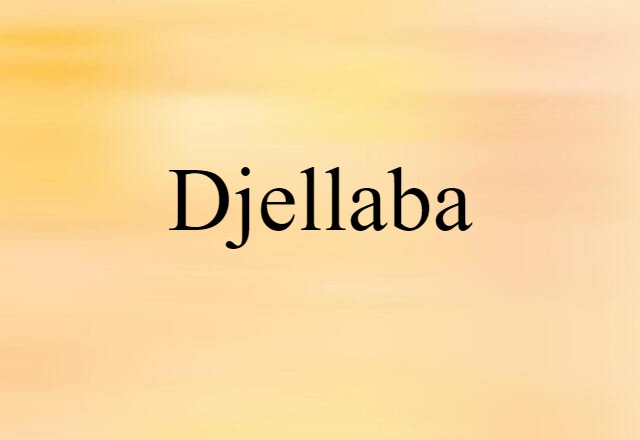 Djellaba (noun) Definition, Meaning & Examples