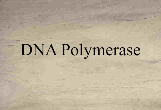 DNA polymerase