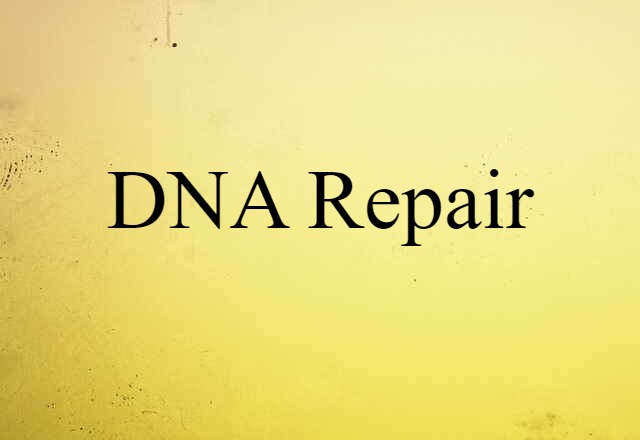 DNA repair