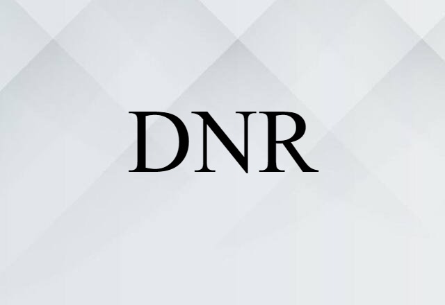 DNR (noun) Definition, Meaning & Examples