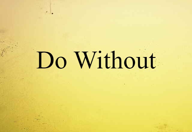 Do Without (noun) Definition, Meaning & Examples