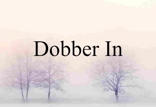 dobber-in