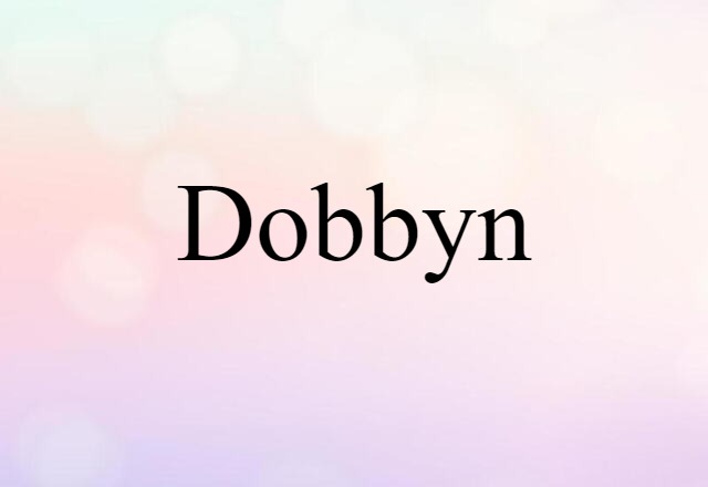 Dobbyn (noun) Definition, Meaning & Examples