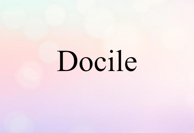 Docile (noun) Definition, Meaning & Examples