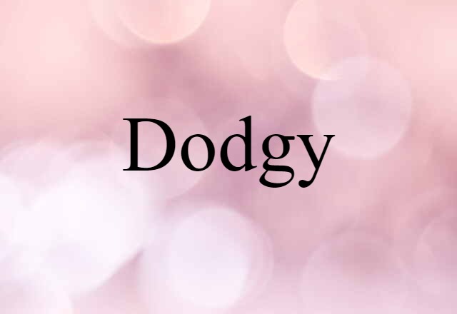 Dodgy (noun) Definition, Meaning & Examples