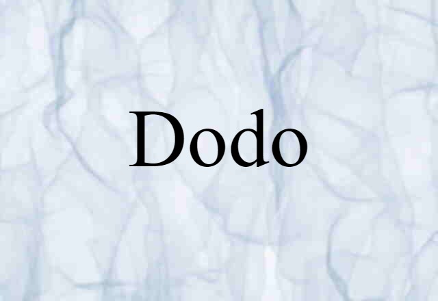 Dodo (noun) Definition, Meaning & Examples