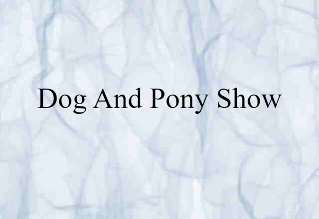 Dog And Pony Show (noun) Definition, Meaning & Examples