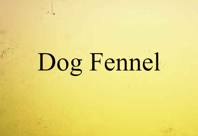 dog fennel