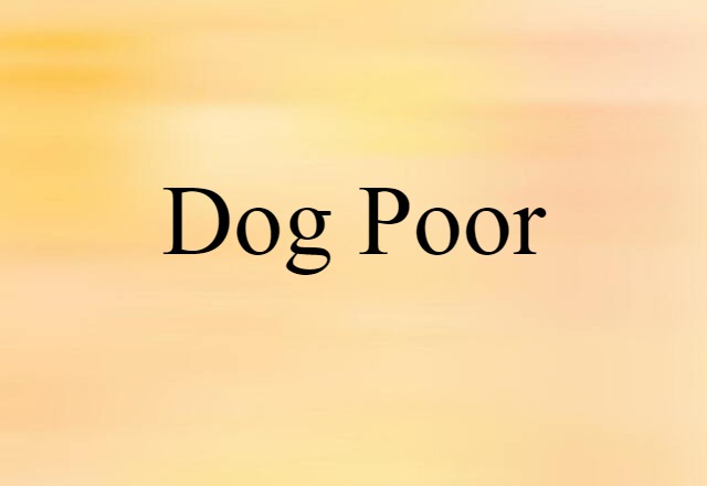 dog poor