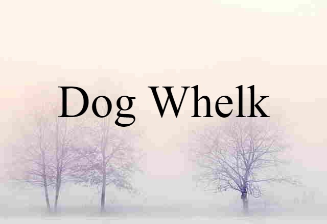 Dog Whelk (noun) Definition, Meaning & Examples