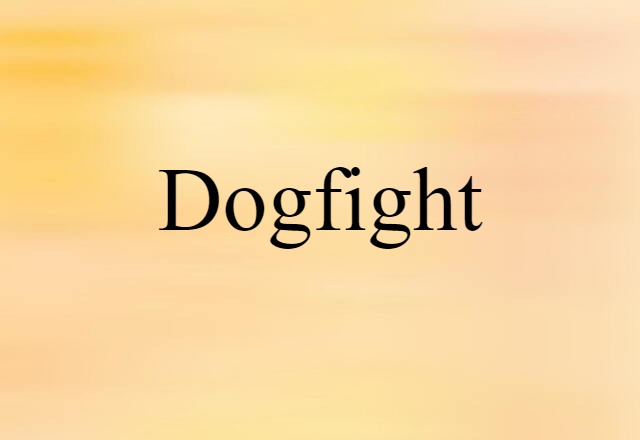 Dogfight (noun) Definition, Meaning & Examples