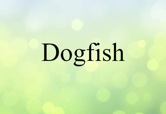 dogfish