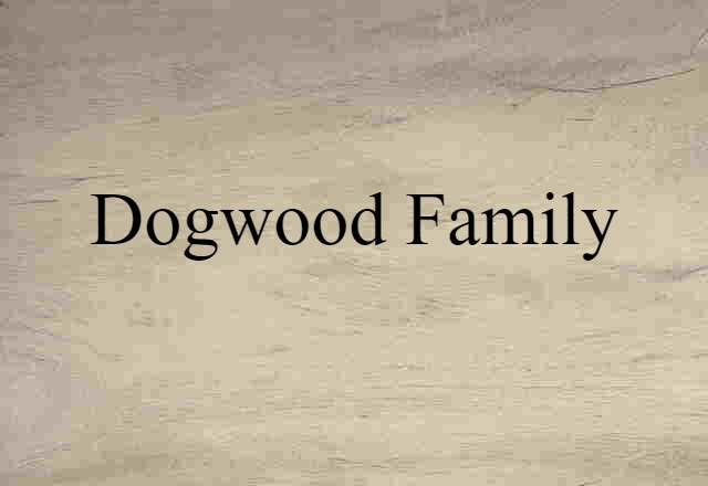 dogwood family