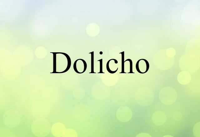 Dolicho (noun) Definition, Meaning & Examples