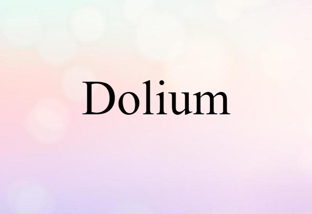 Dolium (noun) Definition, Meaning & Examples