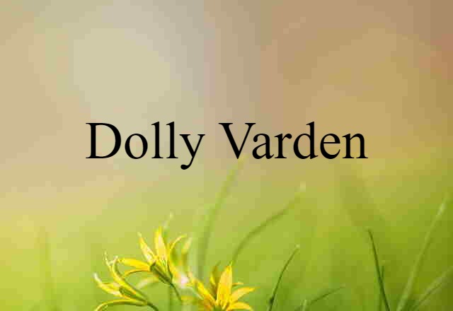 Dolly Varden (noun) Definition, Meaning & Examples