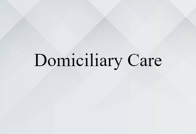 Domiciliary Care (noun) Definition, Meaning & Examples