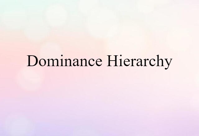 dominance hierarchy