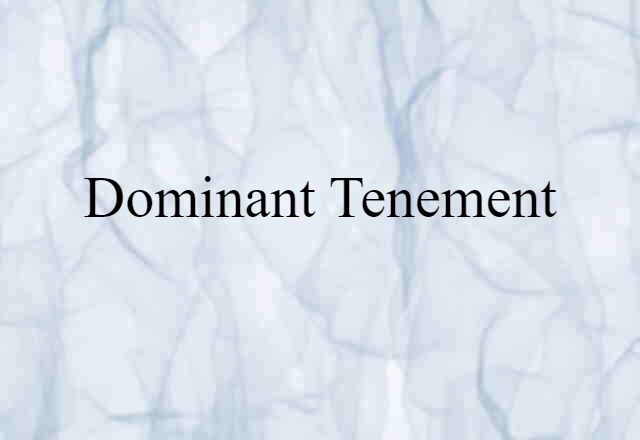 Dominant Tenement (noun) Definition, Meaning & Examples