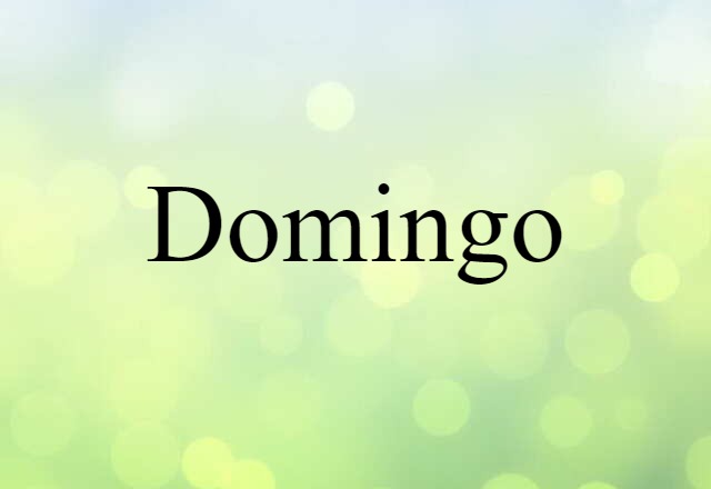 Domingo (noun) Definition, Meaning & Examples