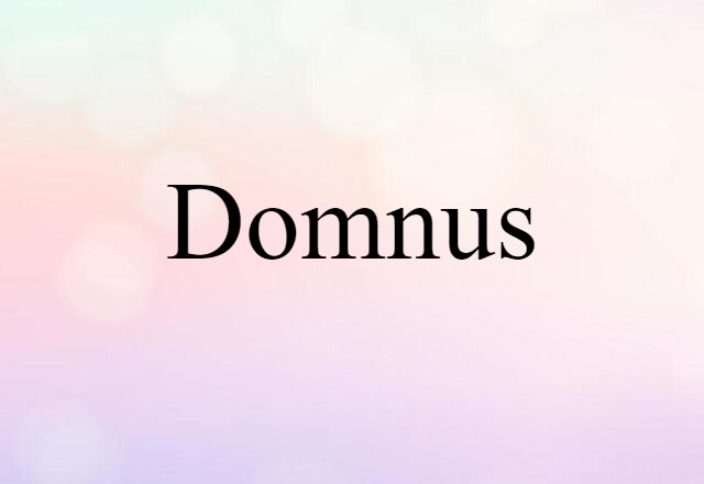 Domnus (noun) Definition, Meaning & Examples