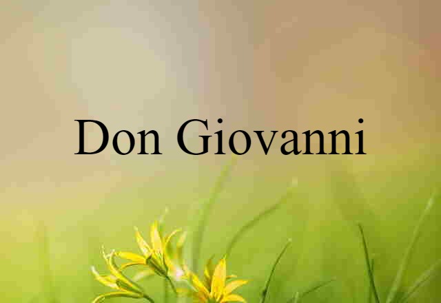 Don Giovanni (noun) Definition, Meaning & Examples