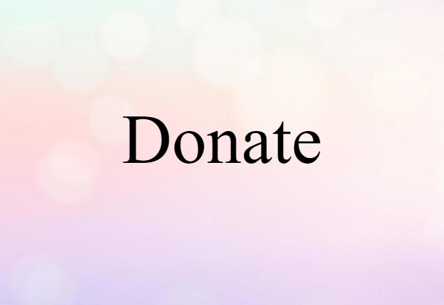 Donate (noun) Definition, Meaning & Examples